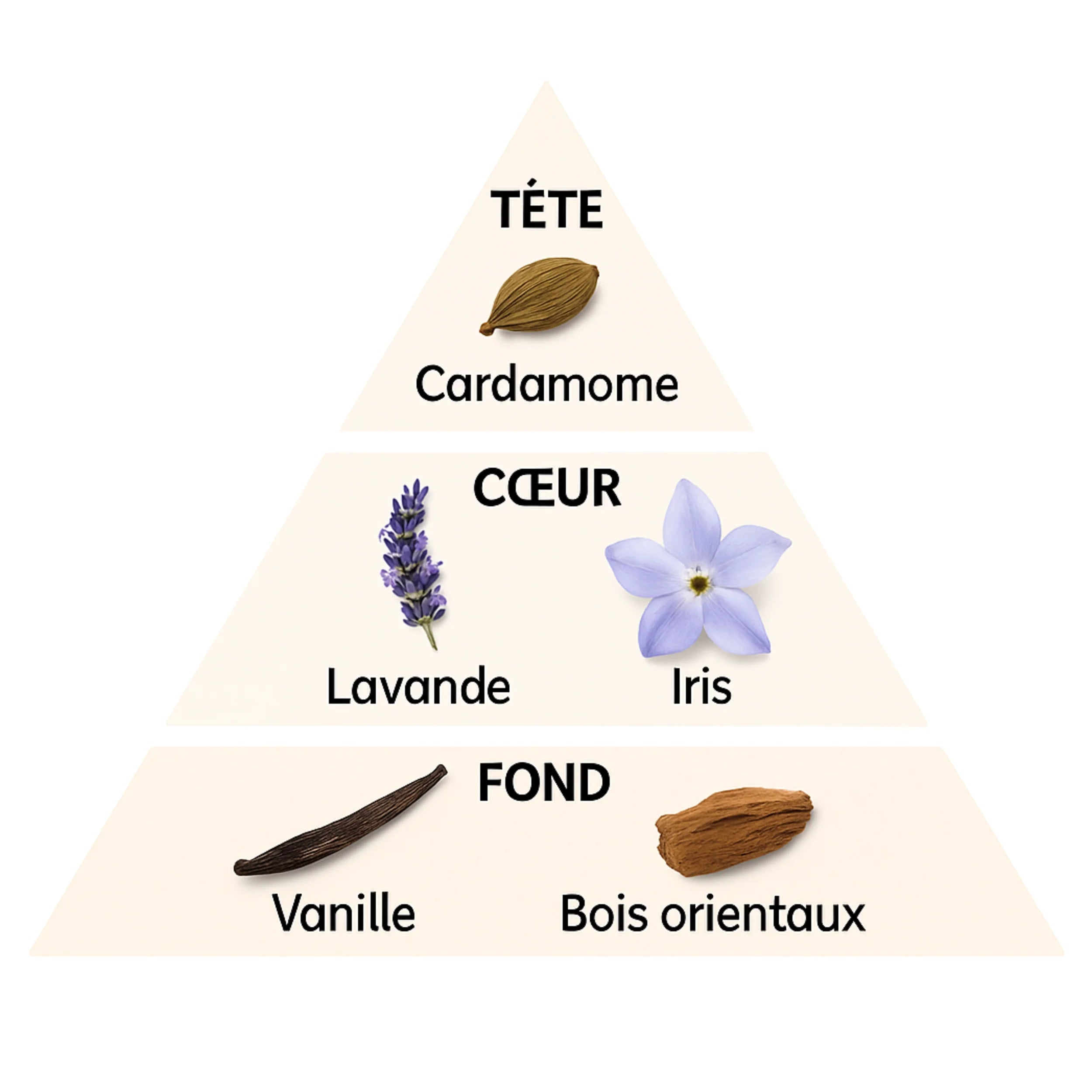 fondant crémeux type le Mâle